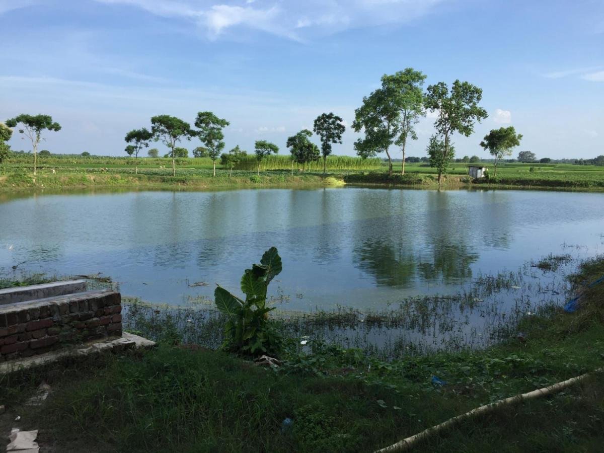 Bangladesh project